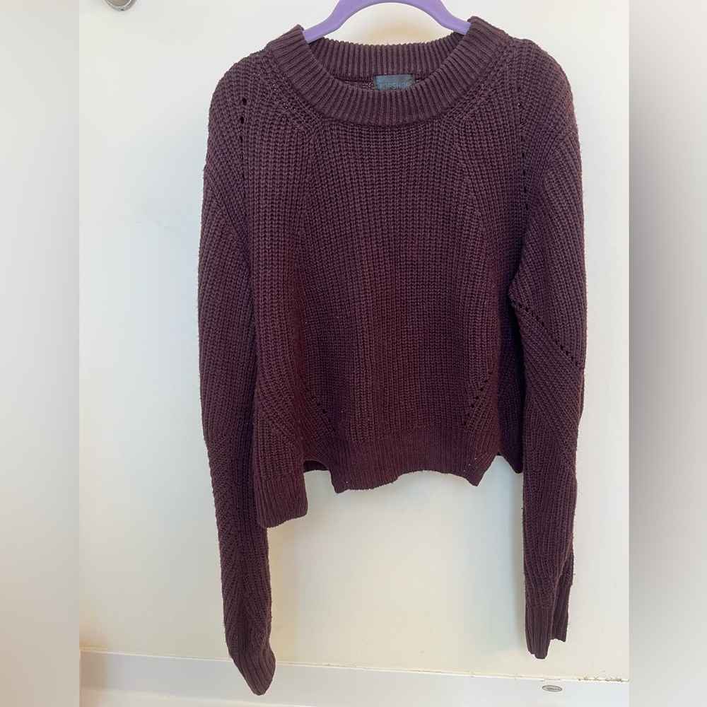 Topshop Deep Burgundy Crew Neck Sweater